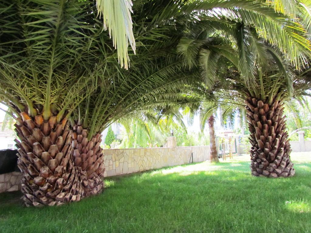 Dalyan Palmiye Resort Hotel Zewnętrze zdjęcie