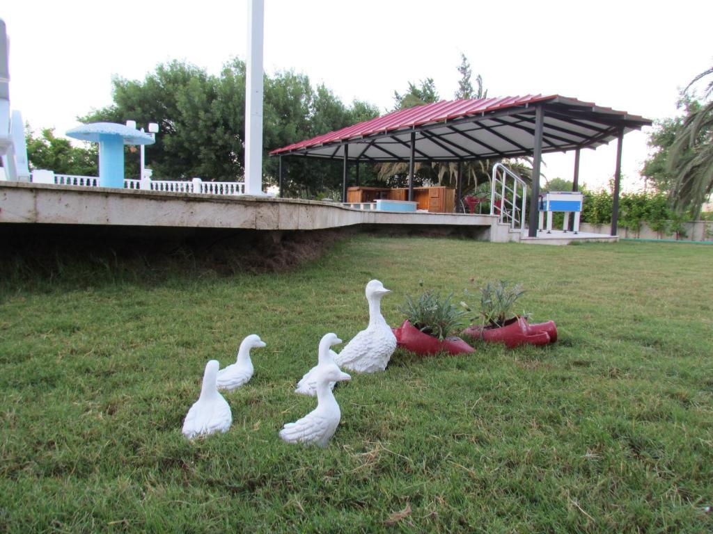 Dalyan Palmiye Resort Hotel Zewnętrze zdjęcie