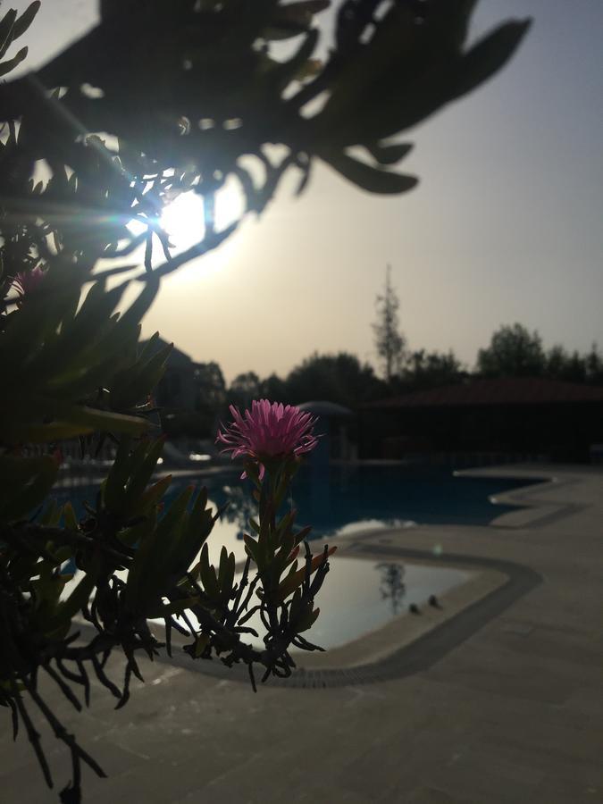 Dalyan Palmiye Resort Hotel Zewnętrze zdjęcie