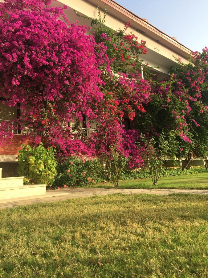 Dalyan Palmiye Resort Hotel Zewnętrze zdjęcie
